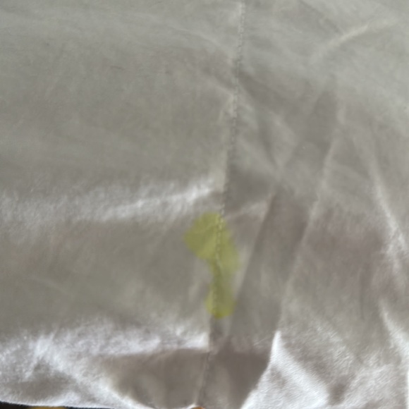 [Price Reduced] Blue bridge 75% down comforter (Queen size) $200 off！！ - Picture 2 of 8